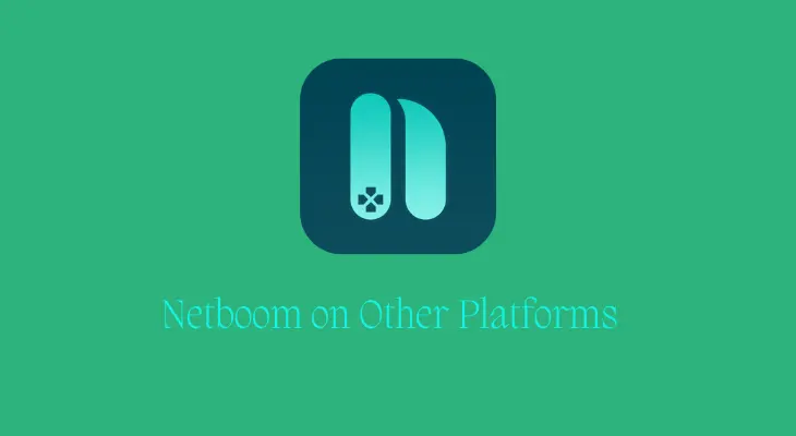 Netboom Cloud gaming on other platforms