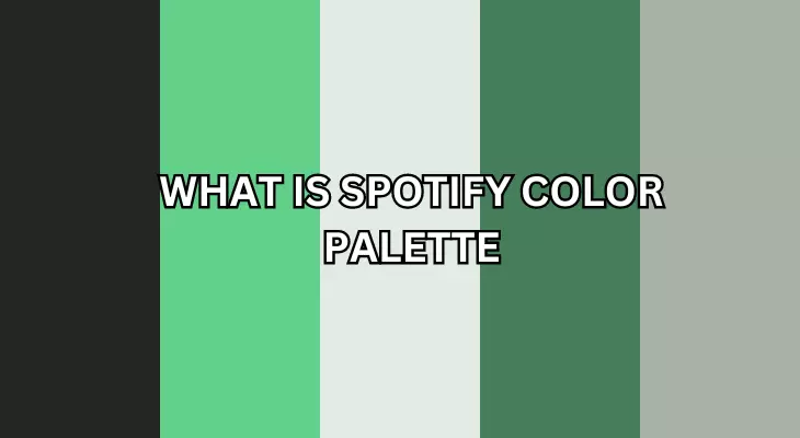WHAT IS SPOTIFY COLOR PALETTE | HOW YOU CAN CREATE YOUR OWN MUSICAL COLOUR PALETTE